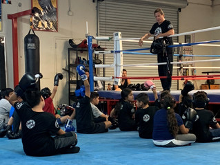 Elite Pro Boxing