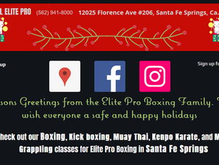 Elite Pro Boxing: Membership Xmas Discount