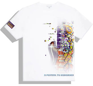 HENDRIX SLEEVE LOGO W T SHIRT.jpg