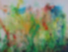 Sommerwiese