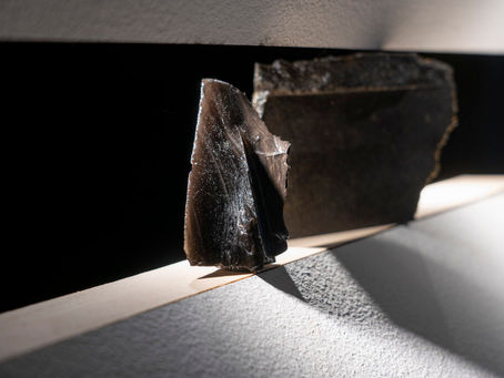 New temporary exhibition at the Estonian Museum of Applied Art and Design