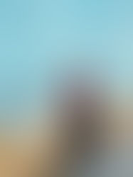 City Palace, Udaipur, India: A  Journey down the pages of History!