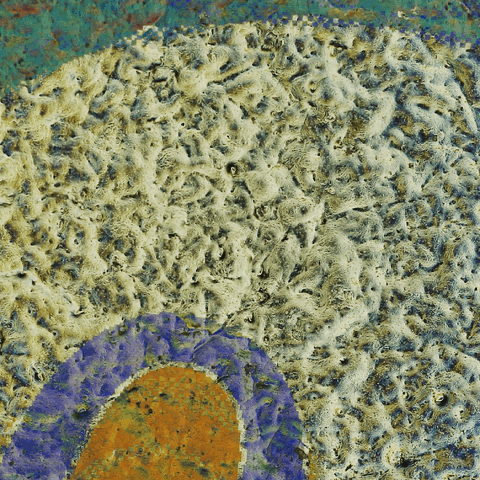merged (5).gif