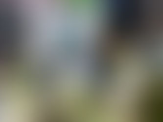 Bradison Fernández fortalece diálogo comunitario en el sector Hell Gate de San Andrés