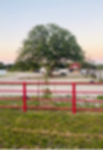 Campestre Life Park Gate