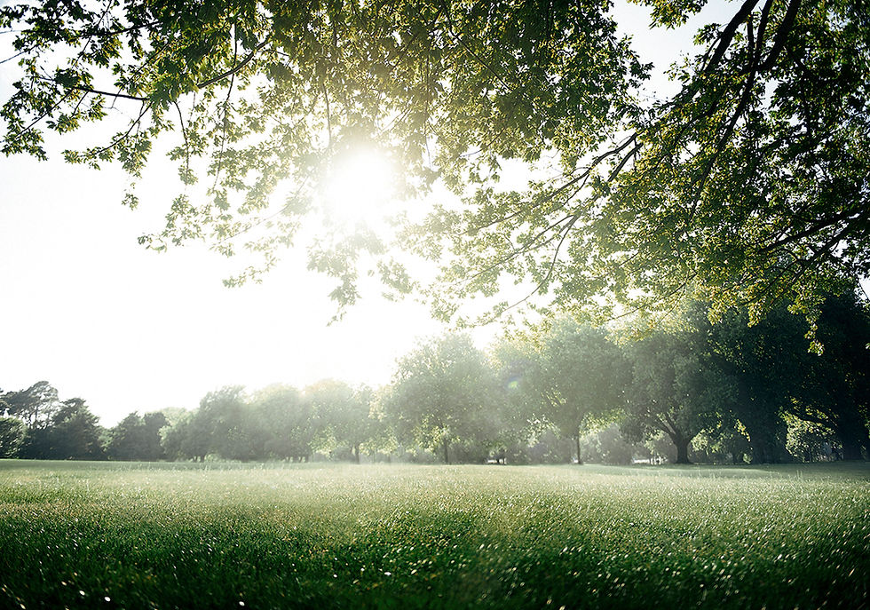 green-field-park-environment-scenic-concept-1.jpg