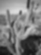 IMG_0711.jpeg