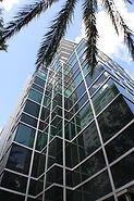Modern glass building seen from below, with palm fronds