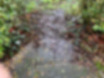 Rose Garden - muddy entrance