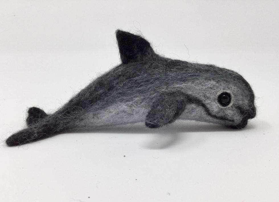 Thumbnail: Needle Felted Vaquita Porpoise 