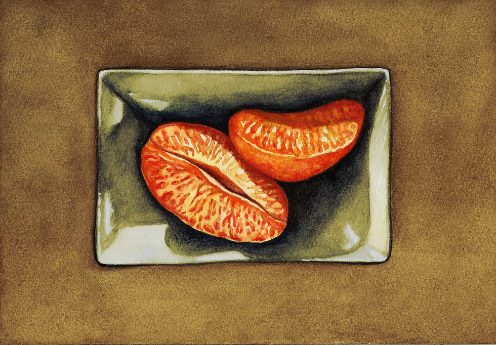 Two Orange Slices