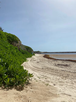 IMG_6067_Original