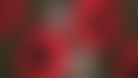 25 aprile, primavera e opportunità