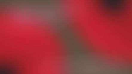 25 aprile, primavera e opportunità