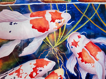 Koi Fish