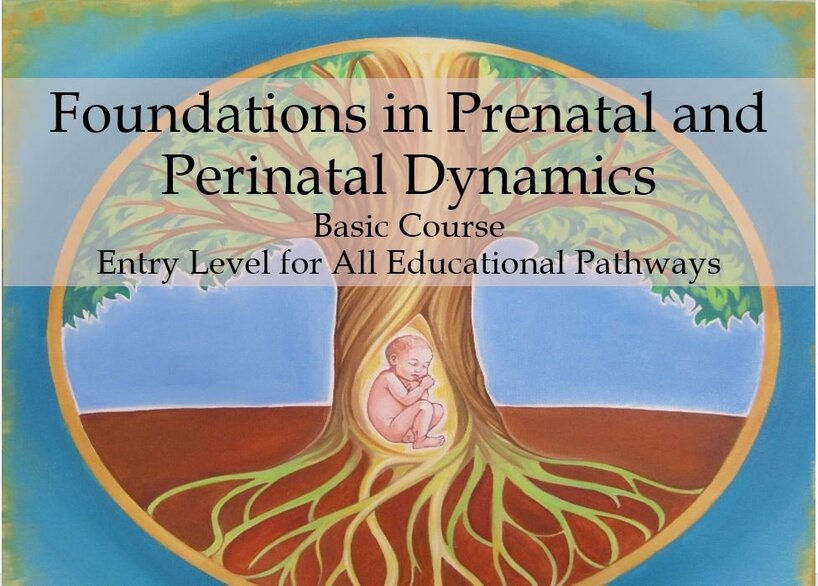 Kate White Pre- and Perinatal Somatics Foundation Course Logo