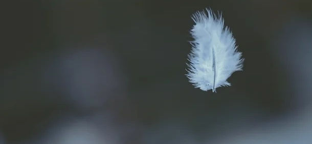 House Office Energy Clearing