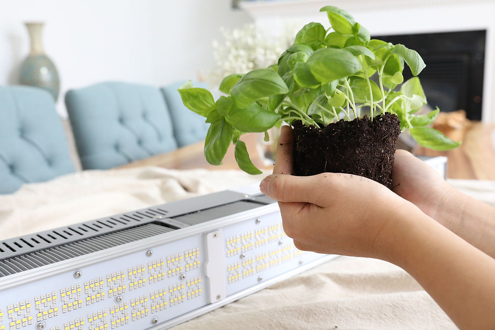 Thumbnail: THOR | EGX5 Commercial LED Grow Light