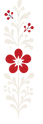 SFF_Elements_edited.png