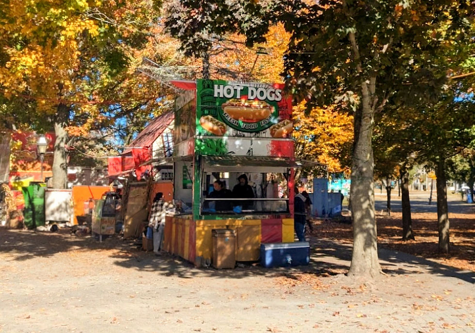 Deliciously Spooky: A Guide to Trick-or-Treating in Salem, Massachusetts