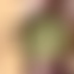 Missed Out on the Starbucks Bearista Cup? Here’s Where You Can Get A Similar Alternative