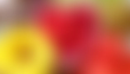 Special Feature: Highlighting Three Memorable Poems About Fruit