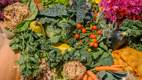 Fresh Flavor at Your Fingertips: Easy Herbs and Vegetables to Grow in Your Kitchen