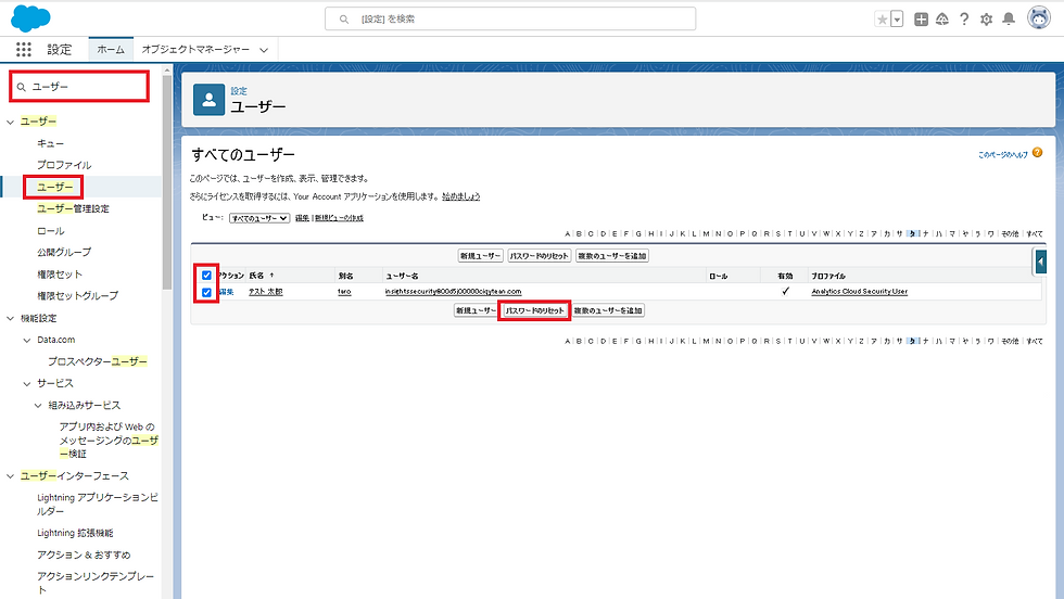 Salesfotceの設定画面3