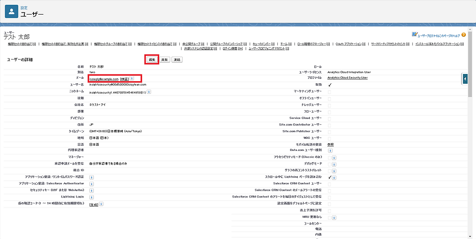 Salesfotceの設定画面