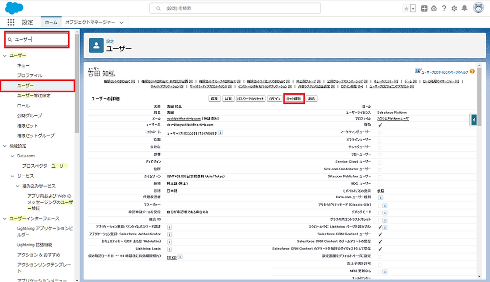 Salesfotceの設定画面4