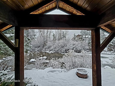Winter view from a rustic on the river.JPG