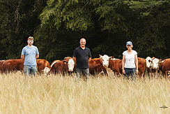 sercombephotography26-25_websize.jpg