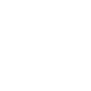 Mystical illustration of a moth with crescent moons on its wings and a full moon above its head