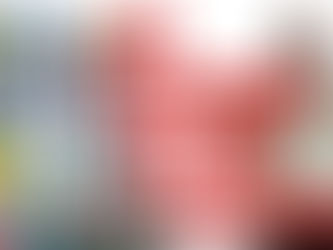 Browsing my Entire Boutique Blu-Ray Collection (in a fun way)