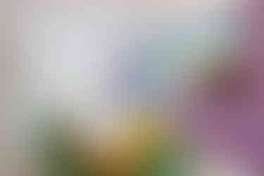 Therapeutic girls home communal living space at Ferngate House