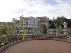 ハーブの香りと季節感漂う屋上緑化　福岡市