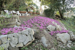 アプローチリフォーム　造園工事　久留米市ワイン工場