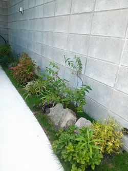 植栽を楽しむ　駐車場リフォーム　大野城市