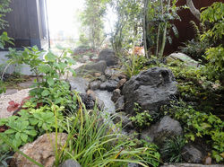 和モダンなガーデン　癒しの空間　熊本市