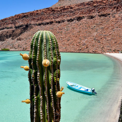 Kostarika, Mehika in Ekvador so top potovanja za zimo 2022