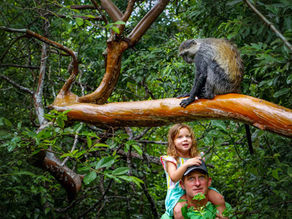 Sedem destinacij za ogled živali v divjini. S tropsko plažo v bližini.
