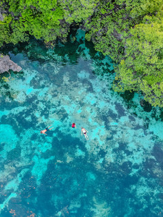 ljudje plavajo v turkizni laguni sredi džungle, slikani iz ptičje perspektive