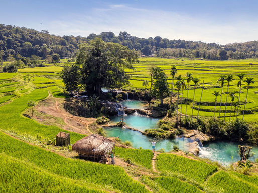Turkizni tolmuni z majhnim slapom med prostranimi zelenimi riževimi polji. V ozadju so drevesa in jasno nebo.