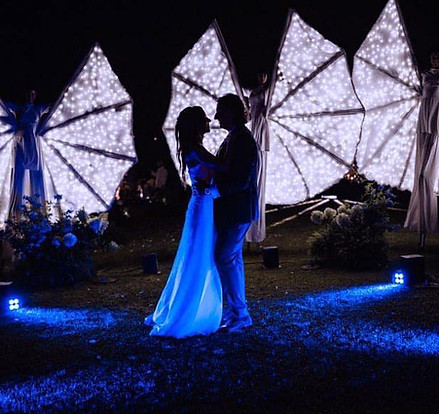 Farfalle Luminose