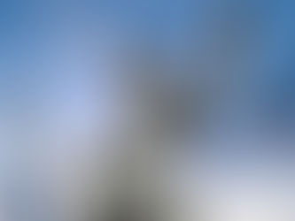 Sociología Jurídica