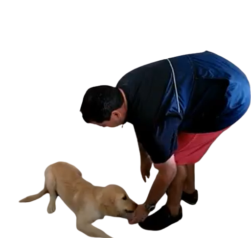 ree
