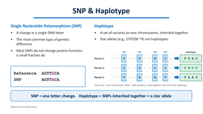 SNP, Mutation, or Star Allele? The Language of Pharmacogenomics (PGx)