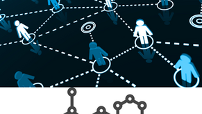 What are Protein-Protein Interaction Networks