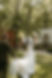 mj-HGPF-96.jpg