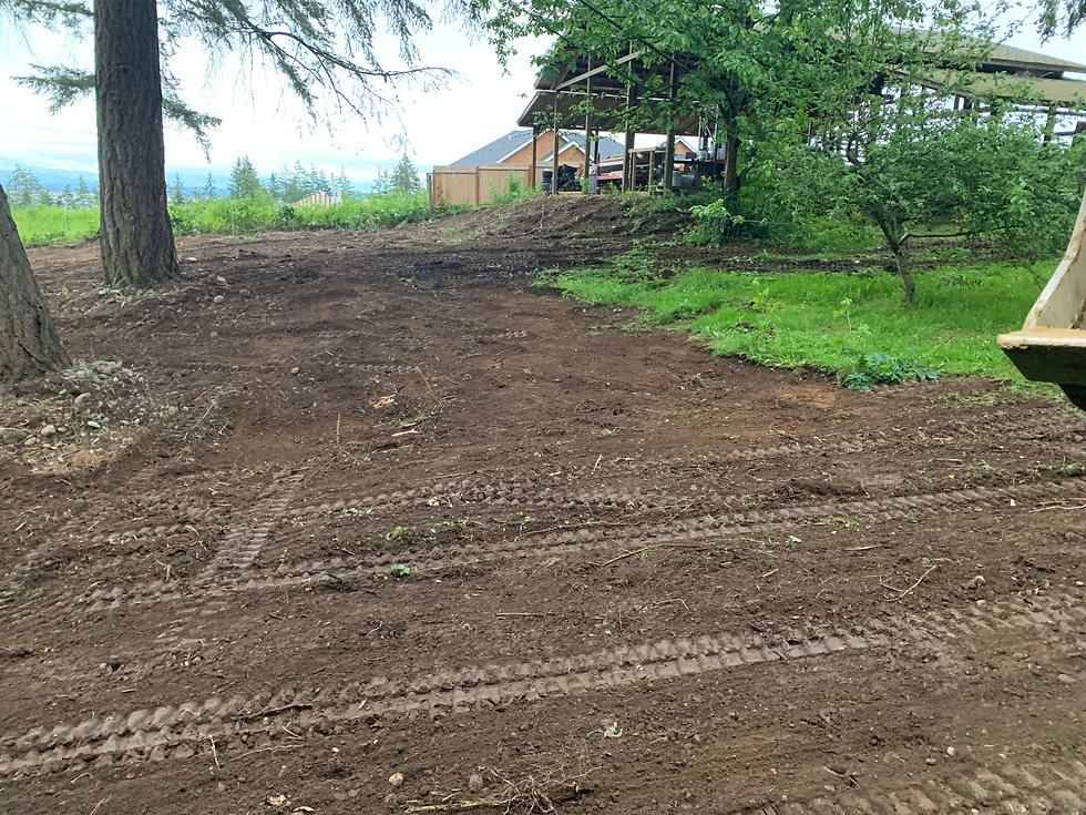 dirt work2